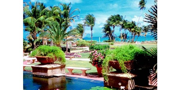 The Westin Rio Mar Golf & Spa