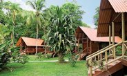 Evergreen Lodge Tortuguero resort