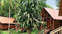 Evergreen Lodge Tortuguero resort