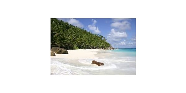 Fregate Island Private Seychelles
