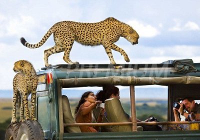 „KEŇA - to nejlepší“ – výjimečné africké safari